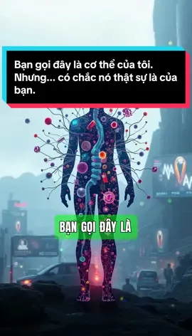 Bạn gọi đây là cơ thể của tôi. Nhưng... có chắc nó thật sự là của bạn.