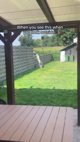 When you see this when you look outside 🥹 #odie #odiethegoldie #fyp #viral #goldenretriever 
