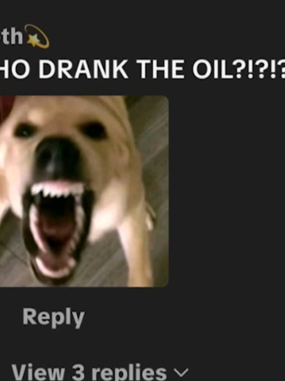how these cooking video comment sections be like part 2 #foryoupage #fyp #voiceover #funny #meme 