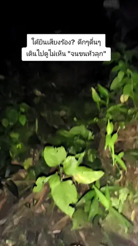 #อย่าปิดการมองเห็น #เปิดการมองเห็น #เสียงร้องไห้ #น่ากลัว 