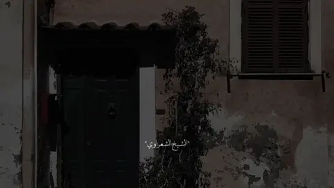🤍✨ #الشيخ الشعراوي