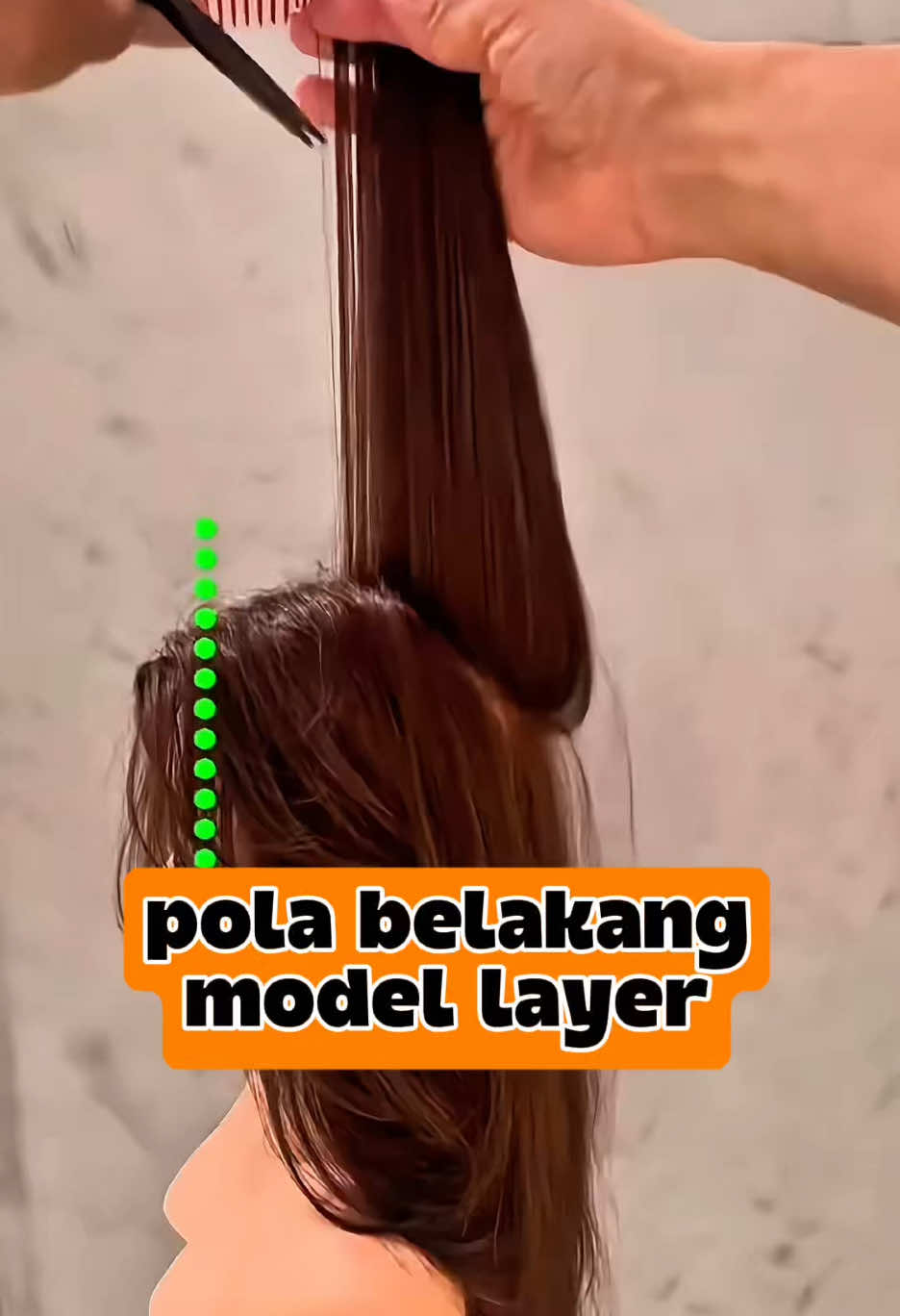 ✅Tutorial, bagian belakang potongan layer butterfly #RudiSTY #TutorialRambut #HairTransformationID 