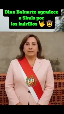 Grande Shuls aportando tu granito de arena para más obras 🤟 #parati #oiiwaaa #shuls #toribio #humor @😈Shuls_y😈 