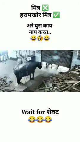 😂😂😂#tiktoknepal🇳🇵#tiktok  #tiktokfunnyvideos #funny #tiktokviral 