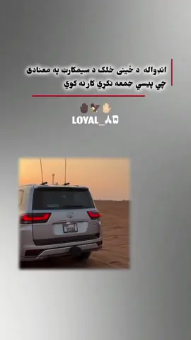 LOYAL_۸۵ ملتا_مو_غواړم