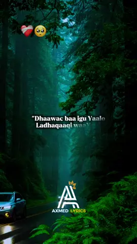 Part 1 #🌴❤️🥺 #ahmet_lyrics #tiktok #capcut #bilaa_music 