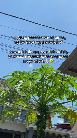Repooootttt!!! #fyppppppppppppppppppppppp #jowopride #jowopridee #jowocidro #jowobaper 
