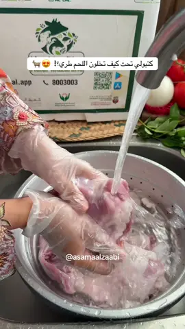 صالونة لحم 😋😍 هذي اسهل واسرع صالونه تسونها والمقادير متوفره عندكم بالبيت 😍❤️ ✅ ما استغنى عن حلال مزارعنا اللحم بس اخذه من عندهم  ✅ اللحم يتم شكله فرش ما يتغير حته لو تفرزن شوفوا ما شاء الله بالفيديو كيف شكله  ✅ يذوب وينطبخ بسرعه  ✅ مافيه ريحة وجودتهم ممتازه انصحكم فيه ✅ ضيفوا حسابهم وطلبوا من عندهم انا طلبت لحم @halal.app  تيس تقطيع عربي 🐐 المقادير ✨ - كيلو لحم من حلال مزارعنا فورته ساعتين  -  دهنه 🧈  - بصل شرائح🧅  - ثوم وزنجبيل🧄🫚   - ورق هندي / ورق ليمون/ فلفل حار 🌶️  - ملح/ كركم/ فلفل احمر - نضيف اللحم  - بهار الكاري / غرام ماسالا هندي (متوفرين فالموقع تقدرون تطلبونهم)  - وبس نخلي المقادير تتسبك عدل لمدة 15 دقيقة وبالعافية تقدمونها مع عيش او خبز  ‎📌 رابط طلب منتجاتنا فالبايو 💘 ‎#طبخات_سهله وصفات_سهلة #لايك #دبي #العين #اسماء_الزعابي      ‏     