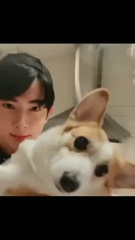my shayla☹️ #yumenglong #theonethatgotaway #fyppppppppppppppppppppppp #fyppppppppppppppppppppppp #tortured 