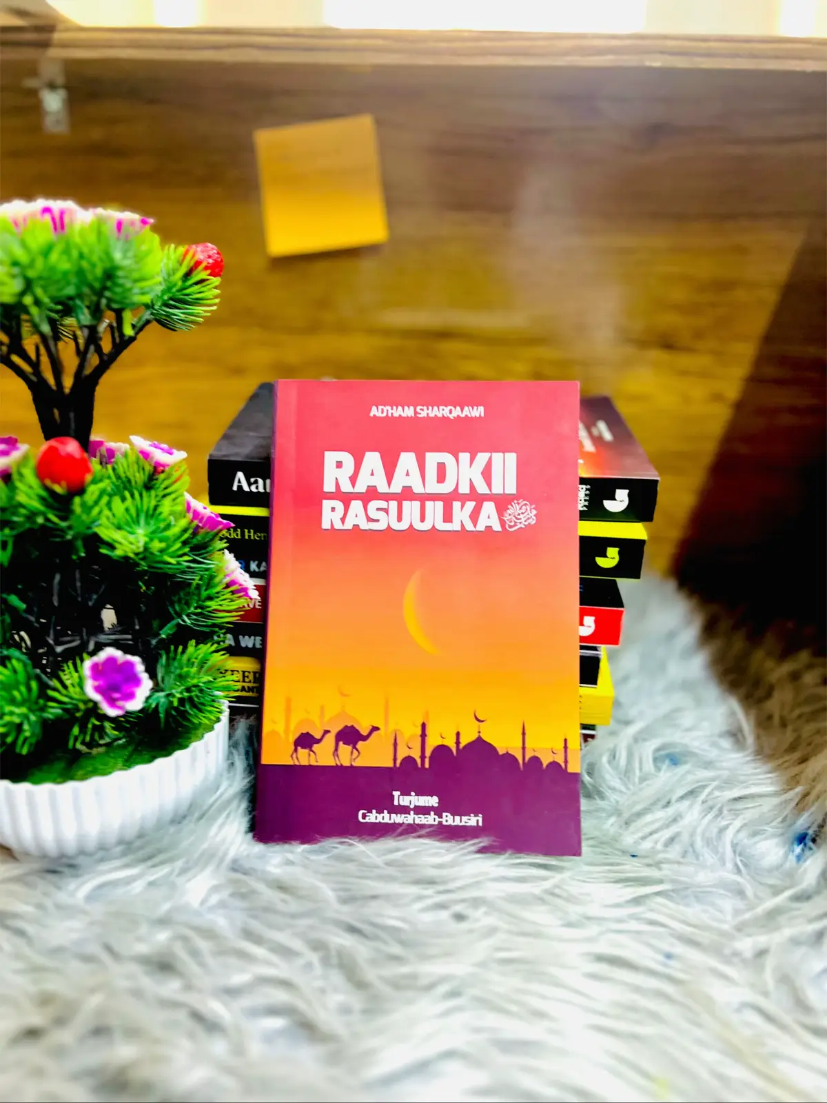 #books #soomalibooks📚 #warsan 