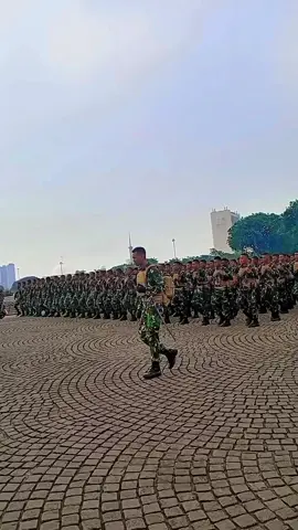 Tetap Menyala walau cuaca mendidih #umum #huttni #monas #tniindonesia🇮🇩 #semuaorang 