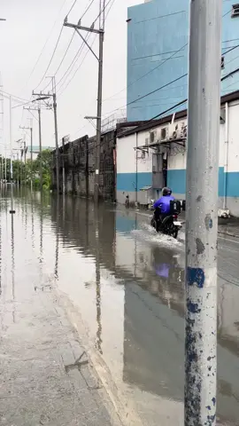Awrighttt! Ayaaaan!!!#fyp #flood #corrupt #foryoupage #trending 