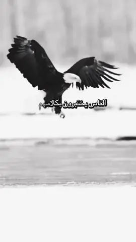 🫶🤲 الحمد لله دائما وأبدا🫶🤲