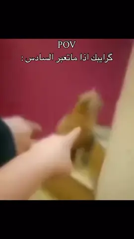 تصير مضحكه 😂😂#شتبوست #ميمز #السادس_الاعدادي #اكسبلور #fyp 