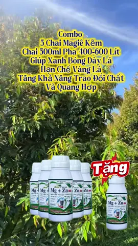 Combo 5 chai phân bón lá magiê kẽm giúp xanh lá, dày lá, hạn chế vàng lá, xoăn đọt #saurieng #nongnghiep #xuhuongtiktok 