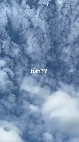 hah?? #fyppppppppppppppppppppppp 