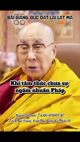 BÀI GIẢNG ĐỨC NGÀI ĐẠT LAI LẠT MA Nguồn Youtube: Tàng Kinh Các #ducdatlailatma #dalailama #tutap #dainiemxu #xuhuong 