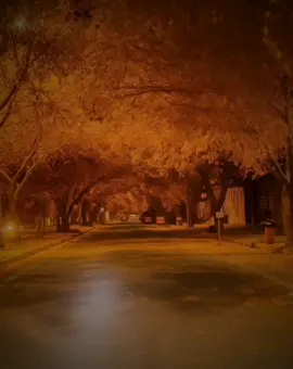 بچوک تا گەورە گیرۆدەی خەمە😍😇#