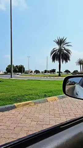 #فيهذااليوم #هشتاق 