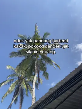 #sasak 