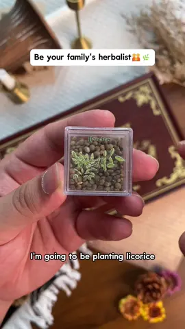 Found a beautiful herbal seed bank for family wellness  #herblist #plantmedicine #herblism #herbalmedicine #herbalremedies #naturalmedicine #herb #herbalisttiktok #mediciemaking #momtok #apothecary #herbs #healthy #wilcraft #backyardmedicine #tincture #medicinal #farmsteading #homesteading #womenshealth #fyp #foryoupage #herbalife #ancestrialhealing #holistichealth #witchtok #apothecaryshop #tiktok #tiktokshop #herbgarden #LearnOnTikTok #remedy #teatime #herbalreviews #herbalwellness #herbalvibes #naturelovers #herbaltea #herbaloil #skincare #homeapothecary #livingfood #seeds #healthytips #SelfCare #tiktokmademebuyit #tiktok  #tiktokshop #tiktokfinds  #freeshipping #kitchgarden #organicfarming #seedtok #gardening #garden #gardentips #gardentok #spotlightfinds #seedorganizer #organic  #organicmodern #creativeideas #save  #agriculturell #growligrowth #sharing #plantlover #flower #giftideas #bestgift #vegetable #momgift #momfriends  #satisfying #homegrown #freshfood #nongmo #capcut #trendtiktok #tiktoksg #gardenlover #gardeningtips