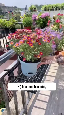 Giá treo chậu cây #giadechauhoa #giatreobancong 