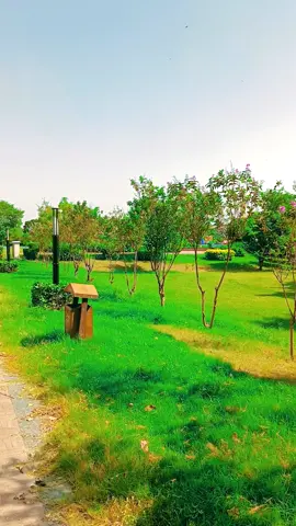 #pind #jutt #pindawale 