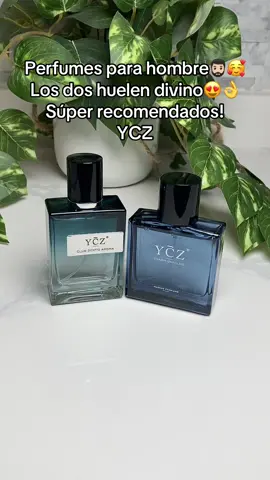 #perfumetiktok #perfumesmasculinos #tiktokshopcreatorpicks #giftideas #perfumesparahombre 