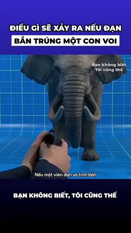 kiến thức bổ ích cho cuộc sống.