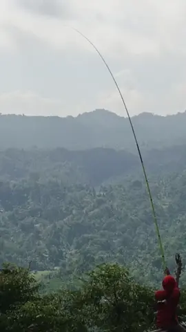 kedua kalinya 