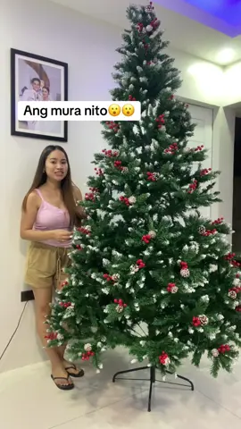 Murang Christmas tree. Christmas decorations. Pine tree #christmastree #tree #christmasdecor #fyp #viral 