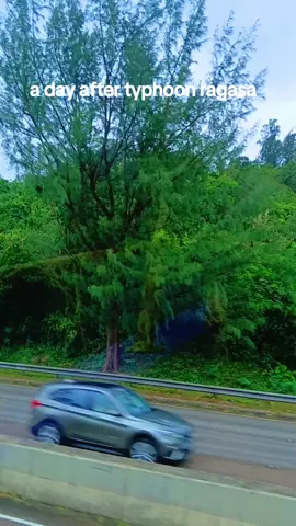 Fallen trees, flooded rivers: Super Typhoon Ragasa tears through Hong Kong #typhoon  #hongkong #sad  #todaynews 