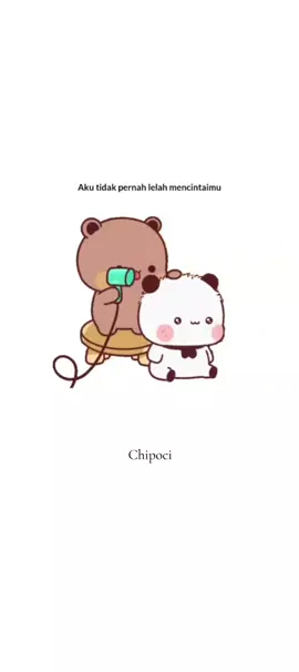 Chi 🦁 #tiktok #poci #fyp #chipoci #foryoupage 