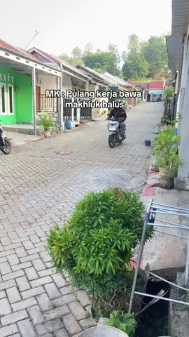 Ih seyem🫣     #catlover #anabul #kucinglucu #catsoftiktok #fyppppppppppppppppppppppp 