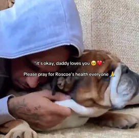 Please pray hamilton's family 🙏✨ #lewishamilton #roscoehamilton #f1 #f1tiktok #formula1 