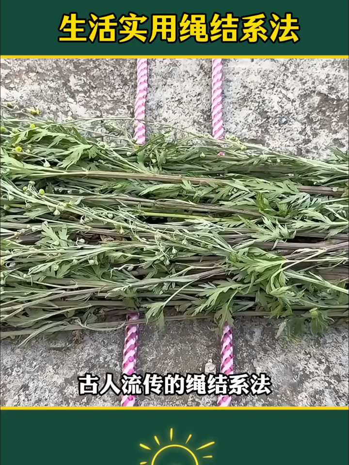 Kết nối dây hữu ích #thichrevieww #thichrevieww2025 #xuhuong2025