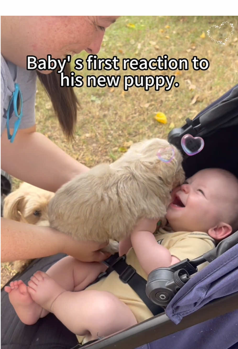 Baby and puppy 🥹🥹💕#baby #puppy #cute #fyp #pet 
