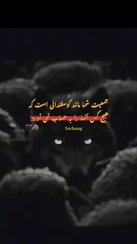 کرگ  تنها🐺🖤