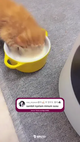 Kakkk? Kasih botol susu kucing gakkkk!!!!😭🫵 #BrilioNgakak #BrilioNgakak2025 #Brilio #Brilionet #Meme  
