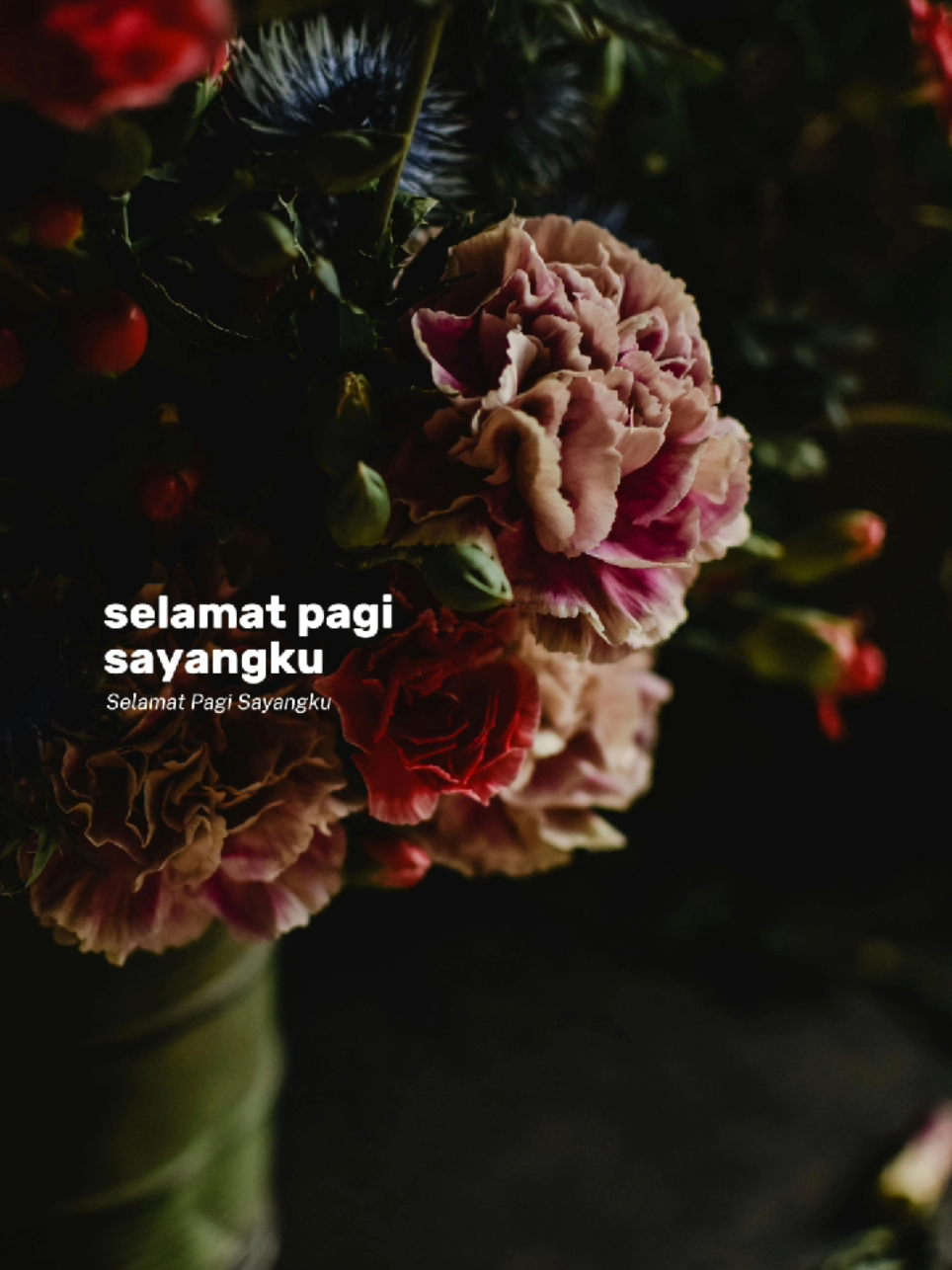 Selamat pagi sayangku #CapCut #lirik #capcutpioneer #pioneertemplate #fyp 