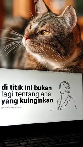 #abahkoeradio #radiotiktok #catlover #requeslagu 