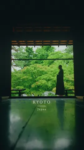 📍Shokoku-Ji Temple -相国寺- Kyoto, 京都 🍁秋の特別拝観（2025年9月25日〜12月14日） 🎫拝観料：大人 1,000円 ／ 小中高生 500円 🕕拝観時間：10:00～16:00（最終受付 16:00） ※特別な許可を得て撮影しております。 🍁Special Spring Viewing: September 25 – December 14, 2025 🎫Admission: Adults ¥1,000 / Students (Elementary to High School) ¥500 🕕10:00 AM - 4:00 PM (Last admission at 4:00 PM) •Filming was conducted with special permission. Beautiful places in Japan 🇯🇵 #japan #japantravel #japantrip #anime #animejapan             