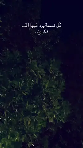 #اكسبلور #شعر #explore #حزن #العراق 