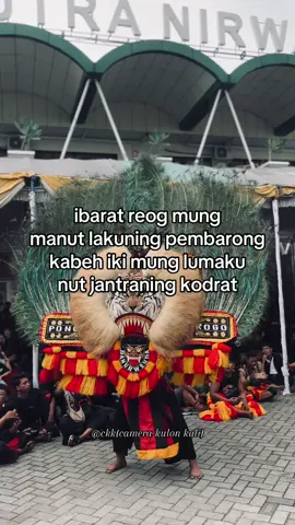 🍃#fyp #reog #reogponorogo #beranda 