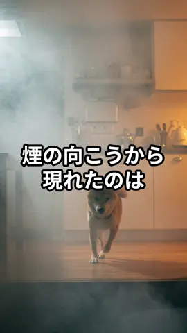 火事で命をつないだ犬…守ったのは息子の嫁か？それとも…