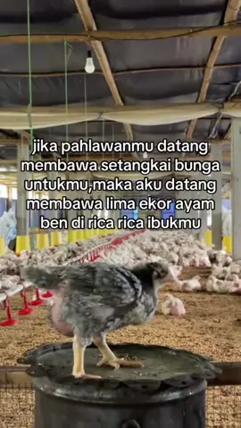 TITIP FARM AYAM POTONG - BERGABUNGLAH BERSAMA KAMI! Halo semuanya! Kami mengajak Anda untuk bergabung dalam program Titip Farm Ayam Potong, sebuah peluang usaha yang menjanjikan dengan modal yang terjangkau dan potensi keuntungan yang besar. Kenapa bergabung dengan kami? Peluang Usaha yang Menguntungkan: Dengan permintaan ayam potong yang terus meningkat, program ini memberi kesempatan untuk mendapatkan keuntungan yang stabil. Modal Terjangkau: Anda bisa mulai dengan modal yang fleksibel, dan kami akan bantu mengelola segala kebutuhan farm ayam potong. Manajemen Profesional: Kami memiliki tim yang berpengalaman dalam mengelola peternakan ayam, sehingga Anda bisa tenang dan fokus menikmati hasilnya. Keuntungan Transparan: Semua hasil dan pengelolaan akan transparan, dan Anda dapat memantau perkembangan usaha kapan saja. Cara bergabung mudah! 1. Daftarkan diri Anda. 2. Tentukan jumlah ayam yang ingin Anda titipkan. 3. Dapatkan laporan rutin tentang perkembangan peternakan. Jadi, tunggu apa lagi? Segera gabung sekarang dan mulai hasilkan keuntungan bersama kami! Hubungi kami untuk informasi lebih lanjut. #ayampotong #bisnis #fyp #fypシ #viral 
