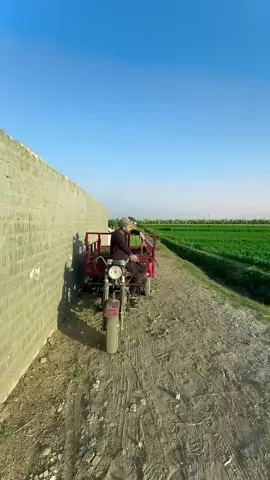 #عقبي #
