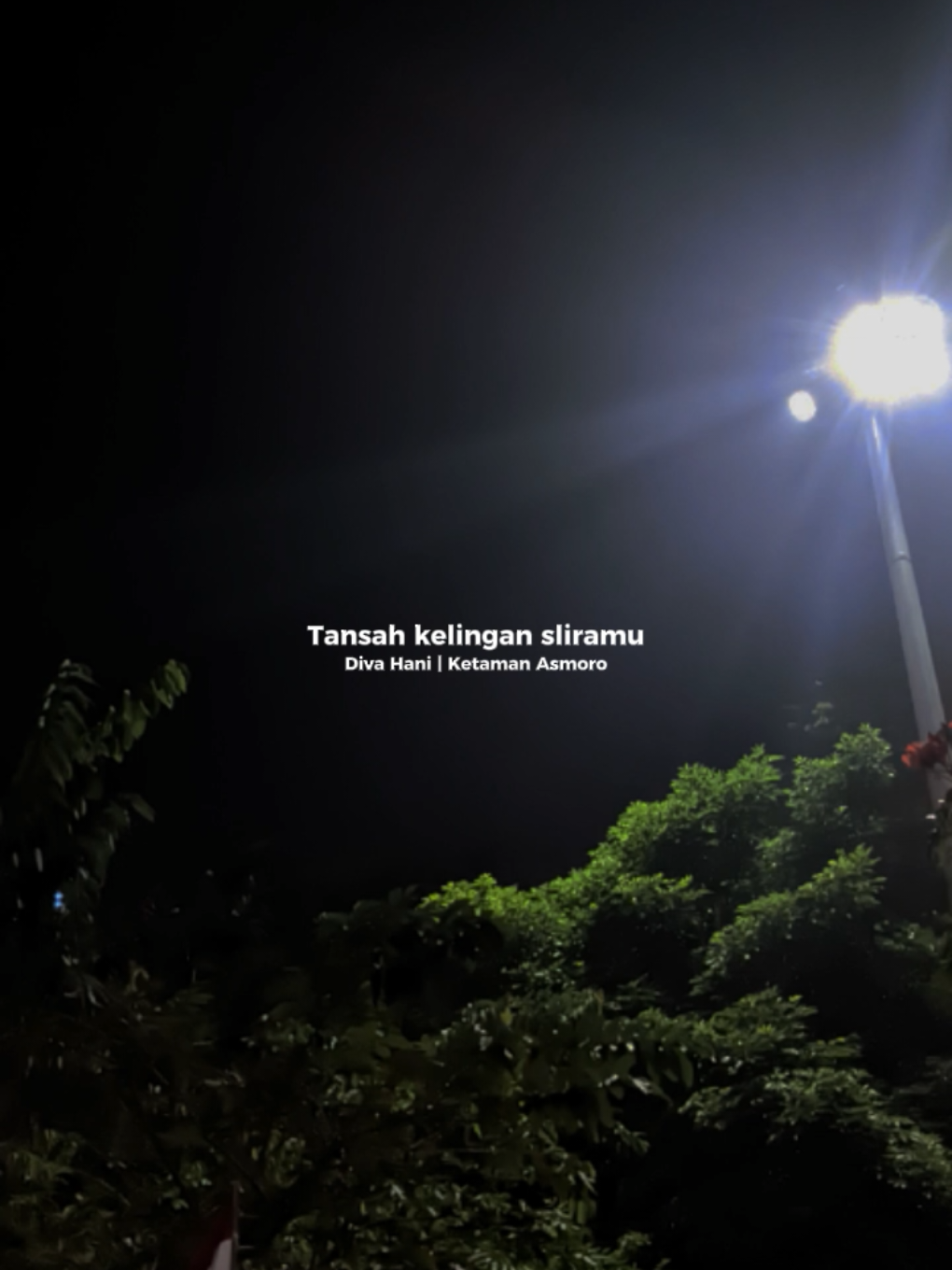#CapCut #divahani //ketaman asmoro #dangdut #adella #viraltiktok 