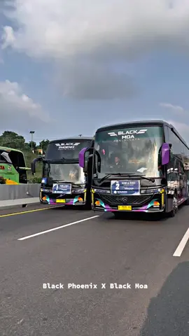 pesona nya itu 😍🫶🤙 @utransamri @u_trans @utrans_official 