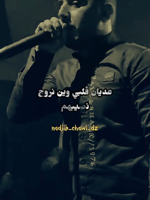 #nadjib_chawi_dz #fares_elabdaoui #fyp #viral 